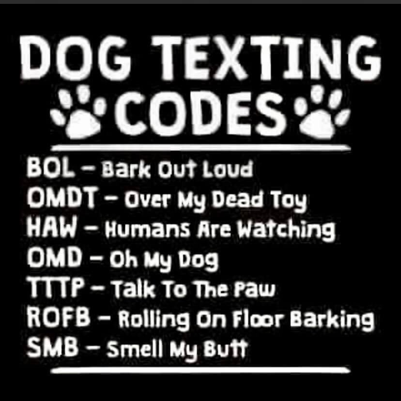 MillietheWB's tweet photo. Only knew a few of these. Talk to the paw and smell my butt are da best #tttp #smb #rofb 🤣🤣🤣🤣 https://t.co/mJXWpIDqUg