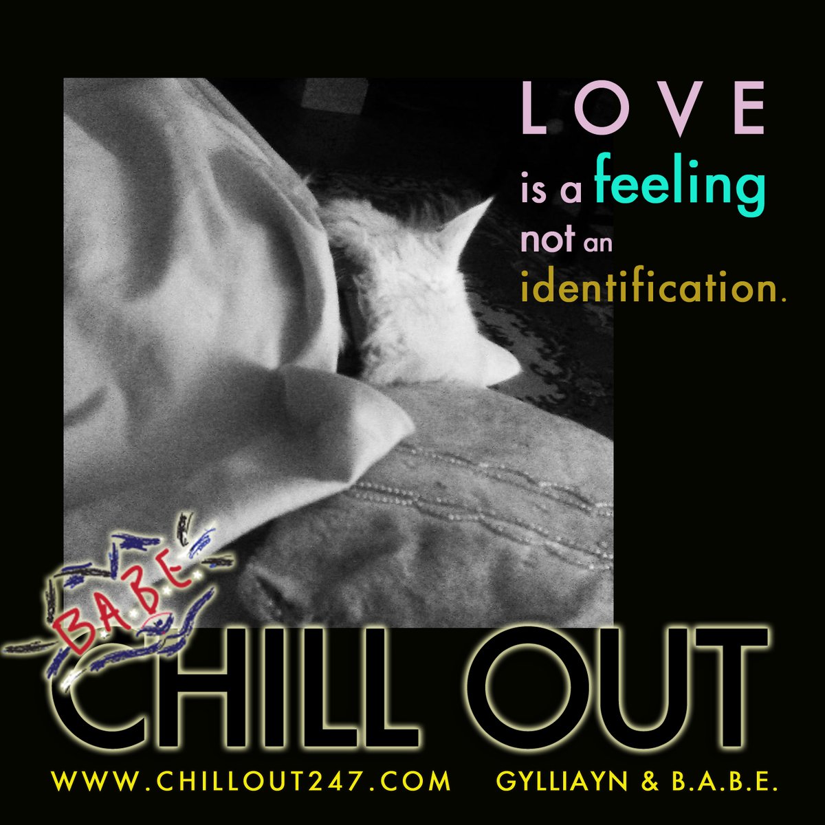 Chill Out Cat tweet media