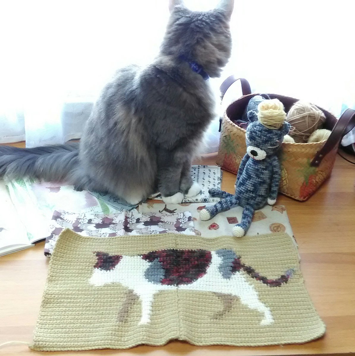 ローズマリー 猫と猫じゃらしのバッグ 東海えりかさん の猫ちゃんが繋がりました 余り糸なので細い糸は2本取りの細編みにしました 裏布を選んでいますが 丁寧に縫い付けるのが楽しみです 金のなる木の花が咲きます ハンドメイド