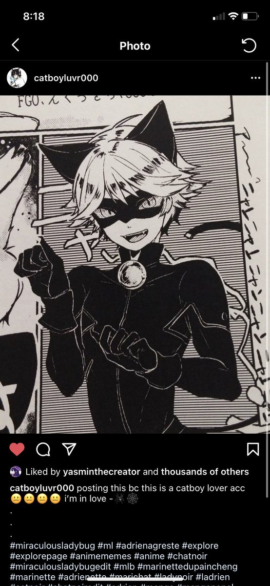 ladybug✨ tweet media
