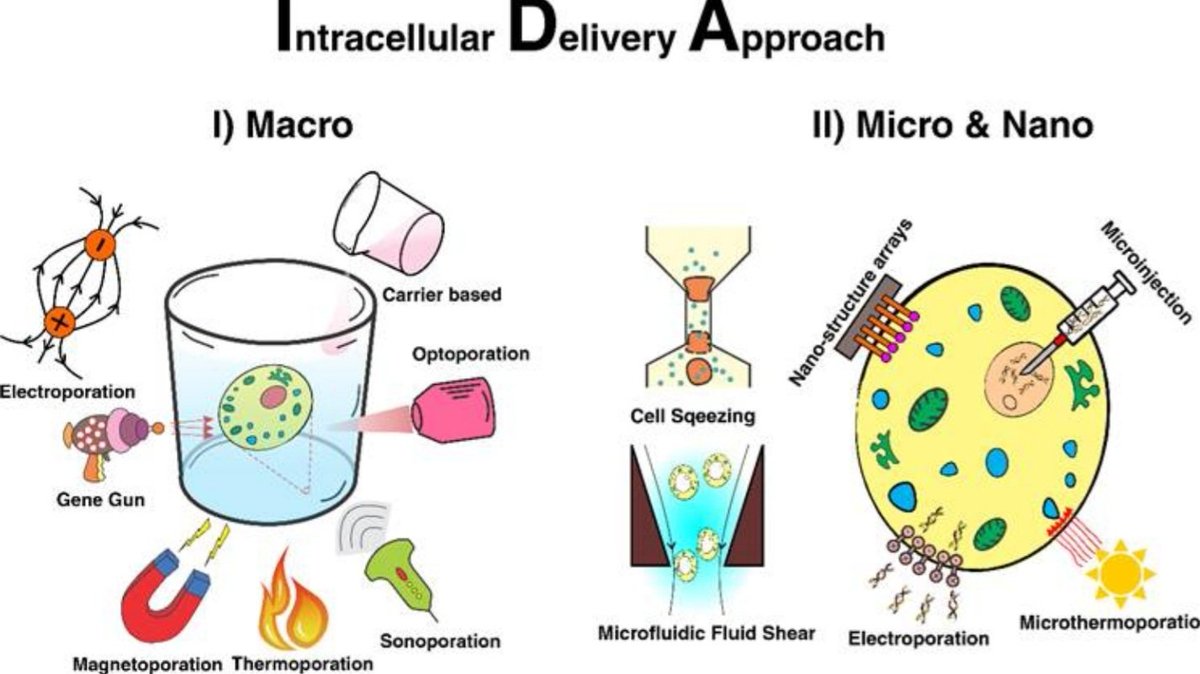 Majid Ebrahimi Warkiani (@majidew) on Twitter photo Many Congratulations to my PhD students for publishing their article in the prestigious Journal of Advanced Materials. A great achievement for them. Enjoy reading and citing it 😉👍
<a href="/UTSFEIT/">UTS Faculty of Engineering and IT</a>
<a href="/UTSResearch/">UTS Research</a>
<a href="/rad_dorsa/">Dorsa M Rad</a>
<a href="/Sajad_Rzv_Bazaz/">Sajad Razavi Bazaz</a>
<a href="/arc_gov_au/">Australian Research Council</a>
<a href="/warkianilab/">WarkianiLab</a>
onlinelibrary.wiley.com/doi/full/10.10… Many Congratulations to my PhD students for publishing their article in the prestigious Journal of Advanced Materials. A great achievement for them. Enjoy reading and citing it 😉👍
<a href="/UTSFEIT/">UTS Faculty of Engineering and IT</a>
<a href="/UTSResearch/">UTS Research</a>
<a href="/rad_dorsa/">Dorsa M Rad</a>
<a href="/Sajad_Rzv_Bazaz/">Sajad Razavi Bazaz</a>
<a href="/arc_gov_au/">Australian Research Council</a>
<a href="/warkianilab/">WarkianiLab</a>
onlinelibrary.wiley.com/doi/full/10.10…