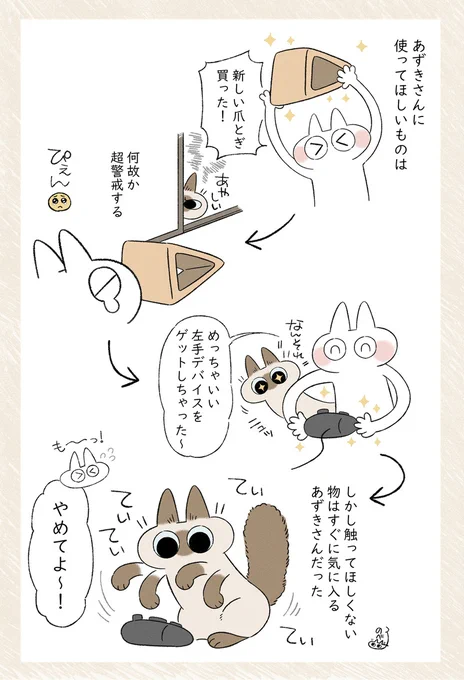 なんでよぉ～? 
 #シャム猫あずきさんは世界の中心 