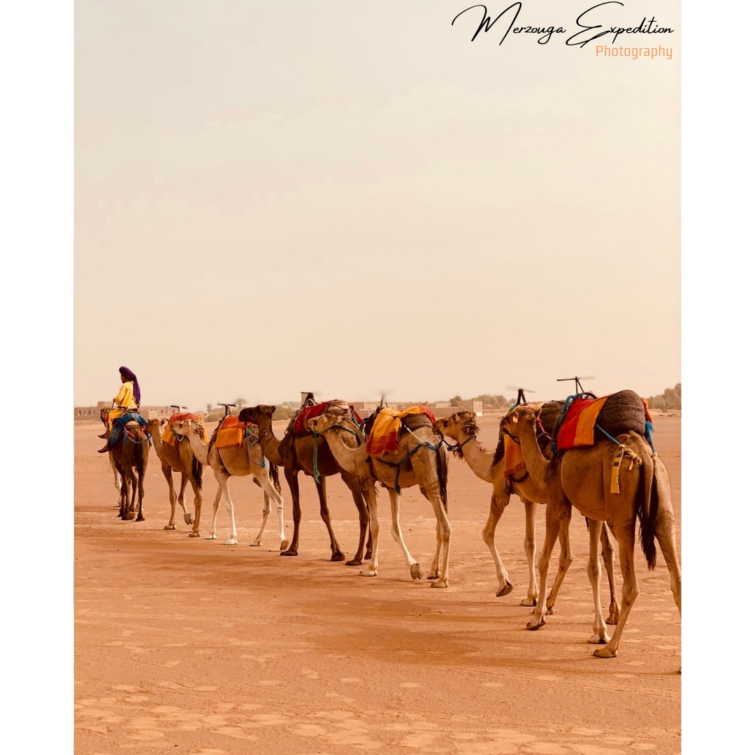 moroccowithsimo's tweet photo. https://t.co/gNew6ZHesb https://t.co/K6tvCqEdGe