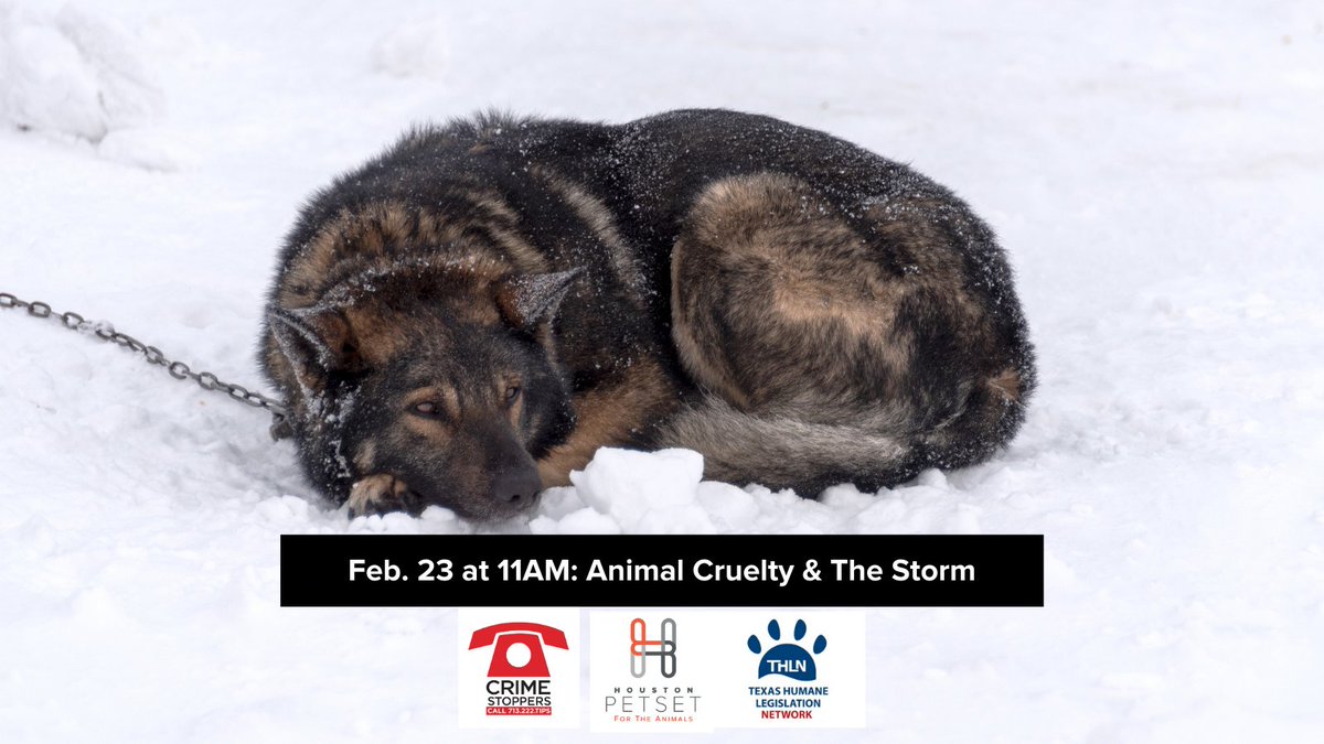 Disturbed by the # of animals left outside over the past few days? Tues. at 11a, we join <a href="/CrimeStopHOU/">Crime Stoppers HOU</a> &amp; <a href="/THLNTX/">Texas Humane Legislation Network (THLN)</a> for a virtual panel discussion on the cruelty during the storm &amp; how legislation can help prevent this in the future. Register #ForTheAnimals: bit.ly/3qLsi2g.