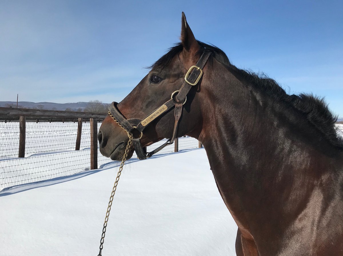 Blue Chip Farms tweet media