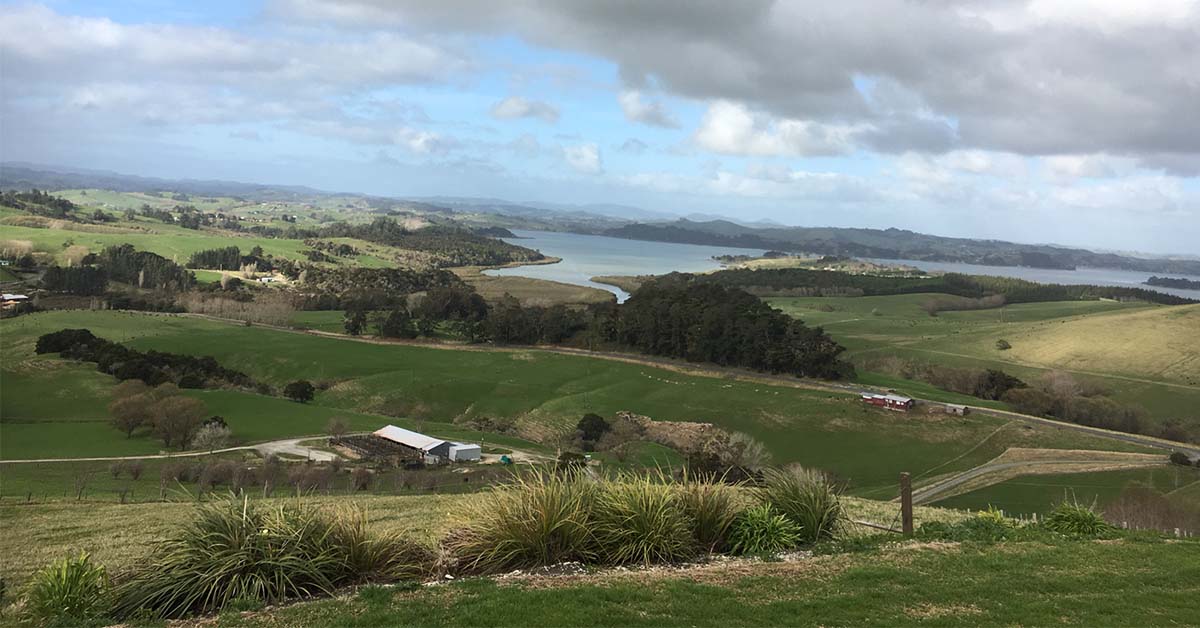 The Agricultural and Marketing Research and Development Trust (AGMARDT) is inviting applications for an associate board member to join its board of trustees. farmersweekly.co.nz/section/agribu…