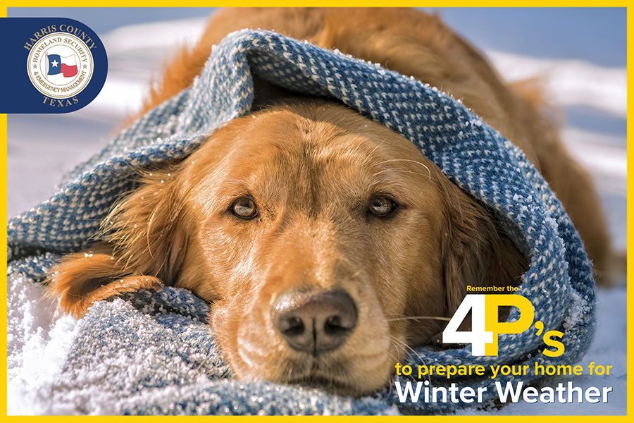 ReadyHarris's tweet photo. DO NOT leave your pets outside tonight. Animals get cold too. Protect them by keeping them indoors and making sure they have plenty of food and water. For farm and large animals, periodically check to make sure their water is NOT frozen. https://t.co/YK7LslE5y6