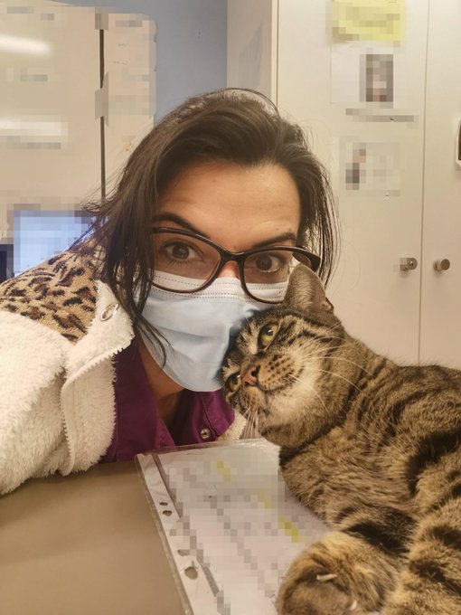 Ma garde presque finie et je trouve le chat de la maison dans le bureau des soins, p&eacute;p&egrave;re &agrave; demander<a href="/tag/nightshift"class="tags"><span>#nightshift</span></a><a href="/tag/caregiver"class="tags"><span>#caregiver</span></a><a href="/tag/aidesoignante"class="tags"><span>#aidesoignante</span></a><a href="/tag/soigna"class="tags"><span>#soigna</span></a>