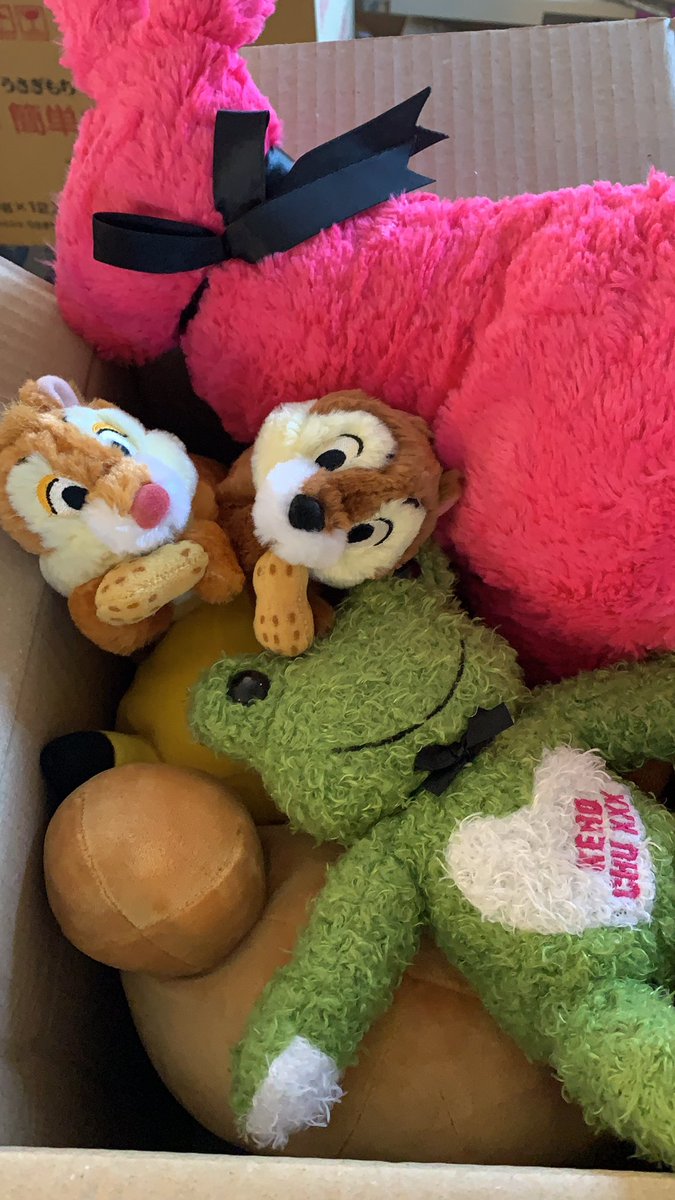 ぬいぐるみ おもちゃ寄付受付 Kk ネット 愛知県尾張旭市o様 京都府京都市n様 東京都練馬区o様 埼玉県草加市e様 よりお寄せ頂きました 皆様 不用品で募金 へのご協力誠に有難う御座います リサイクルし 収益の一部を募金団体に募金致します