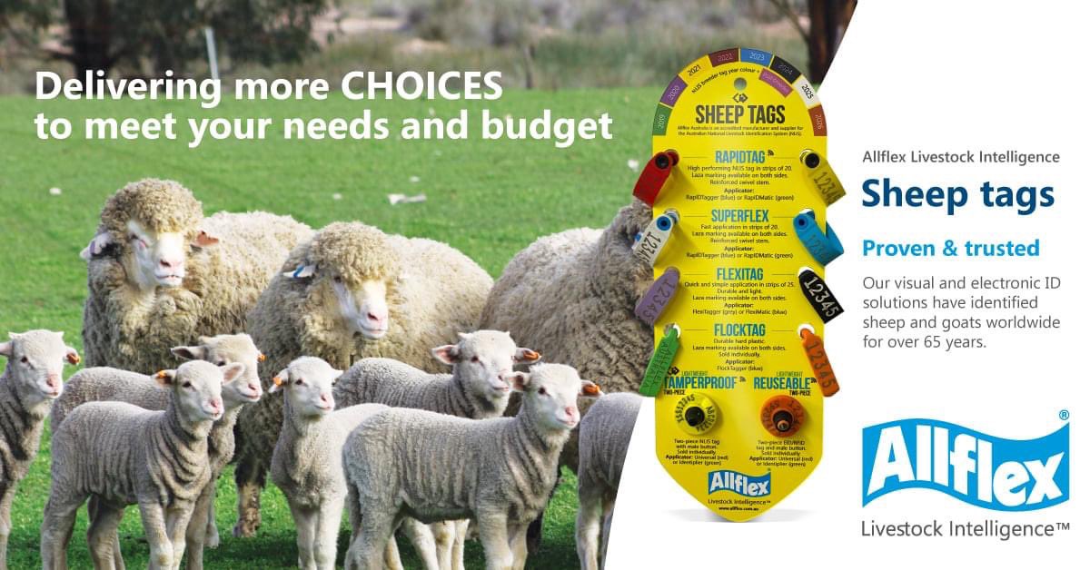 Know which animals are your best performers. Lift your flock’s performance by recording pregnancy status (dry/empty, single lamb bearing, double and triple lamb bearing) to the individuals' eID to identify the superior performers and form the basis of your breeding future.