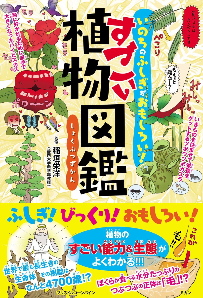 【おしらせ】来週2月22日(月)カンゼンさんから発売の稲垣 栄洋先生監修「いのちのふしぎがおもしろい! すごい植物図鑑」のイラストを描かせて頂いております。これを描いたあとから植物にはまってしまい今部屋が水耕栽培のカップだらけになってます。https://t.co/9fmhvqKkk5 