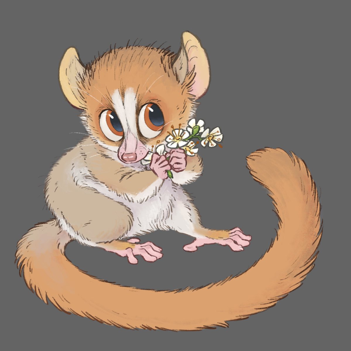 With lemurs especially it's like "...yeah that's clearly Hapalemur griseus ranomafanensis ACCURATE SUBLINGUA AND TOOTH COMB" to "what animal was this originally supposed to be again, is it Marsupilamickey" #AnimalArtistsUnite