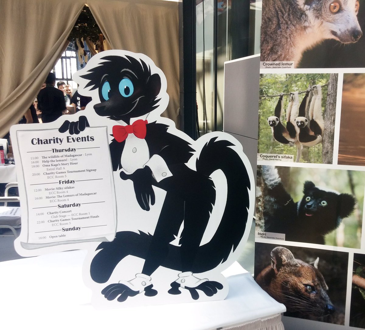 With lemurs especially it's like "...yeah that's clearly Hapalemur griseus ranomafanensis ACCURATE SUBLINGUA AND TOOTH COMB" to "what animal was this originally supposed to be again, is it Marsupilamickey" #AnimalArtistsUnite