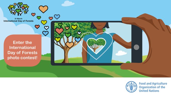 APLarrazabal's tweet photo. Celebrate a tree that supports your well-being by entering the International Day of Forests photo contest and win a tablet computer! https://t.co/4iFBGlgTPp #IntlForestDay https://t.co/XnSB6hjIUB