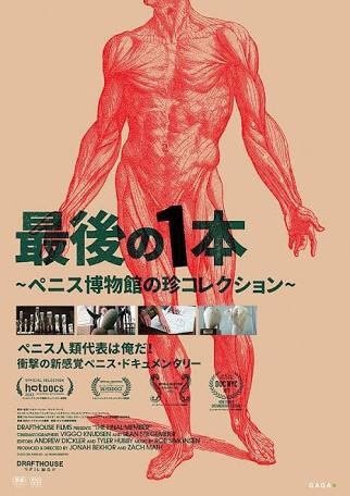 KinjoLuvsMandM2's tweet photo. #TheFinalMember
"チンコレ"ドキュメンタリー
全哺乳類のチン子を収集することに取り憑かれたアイスランド在住の老人シッギさん。いろ〜んなチン子標本が集う彼のチン子ミュージアムにはただ一つヒューマン・チン子のみ未収集であった
"貴方のチン子、飾らせて"(続 https://t.co/CYkRzkBsU7