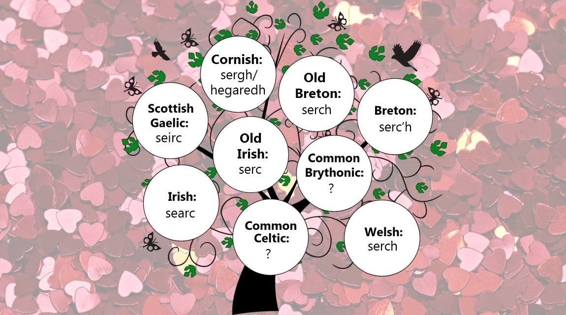 💕The word for 'affection' in various Celtic languages:

Breton: serc'h
Breton (Old): serch
Cornish: sergh/hegaredh
Irish: searc
Irish (Old): serc
Scottish Gaelic: seirc
Welsh: serch