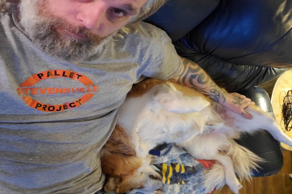 Adam_13urton's tweet photo. Tiggy trying to stay awake during this @MapleLeafs blowout 🤣

#tmltalk
#tiggy
#adoptdontshop https://t.co/XzjL9VWIZU