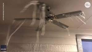 HopePyxGlobal's tweet image. The entire state of Texas have been greatly impacted by the severe weather. 

There are still a few blackouts remaining. Many has had their pipes burst which has created other issues. 

Help our victims and survivors through this difficult time. Donate: hopepyxglobal.org/donate-now.html