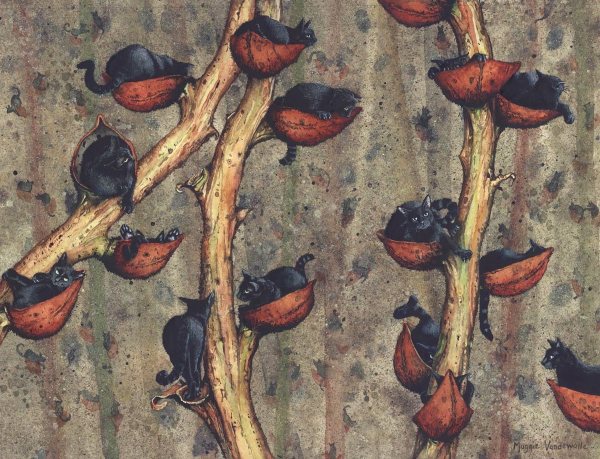 My two rescue cats posed for all of this, including all the background kitties😁
Catkins
#blackcats #CatsOfTwitter #watercolor #giclee #hijinxedetc #maggievandewalle