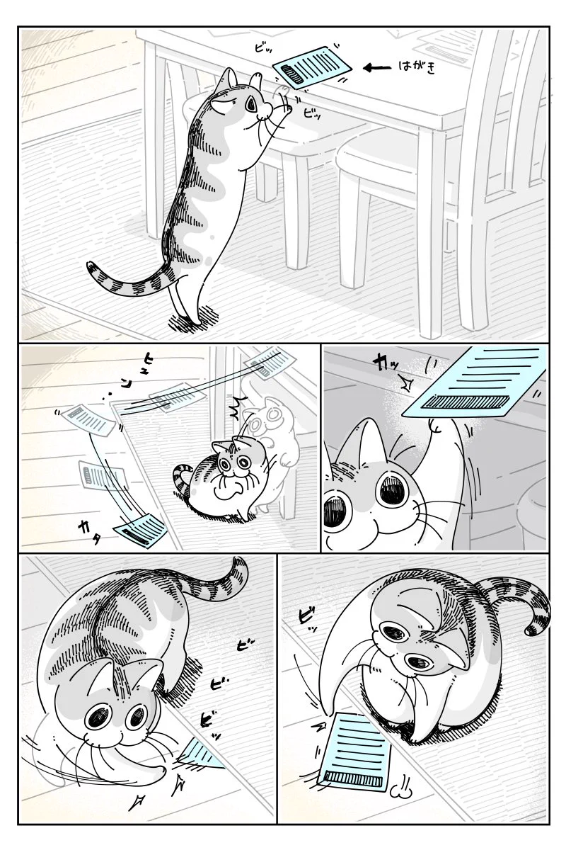 猫を飼っているとありがち？www机の上に置いていたハガキを･･･！www