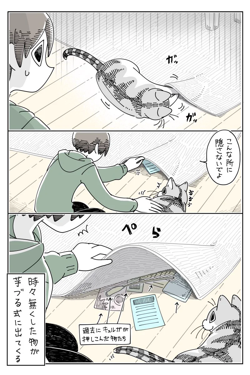 猫を飼っているとありがち？www机の上に置いていたハガキを･･･！www