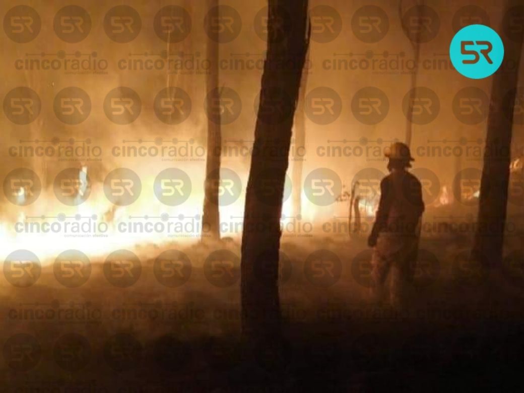 laredcincoradio's tweet photo. #Actualización 
Continúan las labores por parte de bomberos de la @SSC_Cholula para poder sofocar el fuerte incendio en el Cerro Zapotecas en San Pedro Cholula. Semanas atrás una plaga estaba acabando con los pinos del sitio. #LaRedCincoRadio https://t.co/pXmm6j97gM