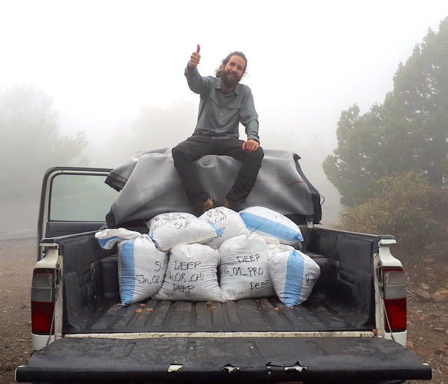 JBiogeography's tweet photo. ECR feature: Victor Noguerales @v_noguerales shares his work on the spatio-temporal dynamics shaping genetic variation in a halophilic grasshopper 🦗
Read more here: https://t.co/dRIlZ1a4ST https://t.co/EzZx1GIVrW