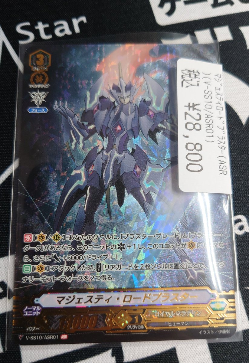 モデル着用&注目アイテム ヴァンガード マジェスティ ロード