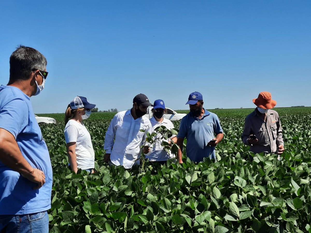 fpablo82's tweet photo. Nada mejor que estar en el campo! Excelente gira con gran parte de la Región Córdoba Este. Muy buenos ensayos en Maíz y Soja!! Nuevos materiales que la rompen🌽🌽 ! @Bayer4CropsAR https://t.co/WALa9cg0t5