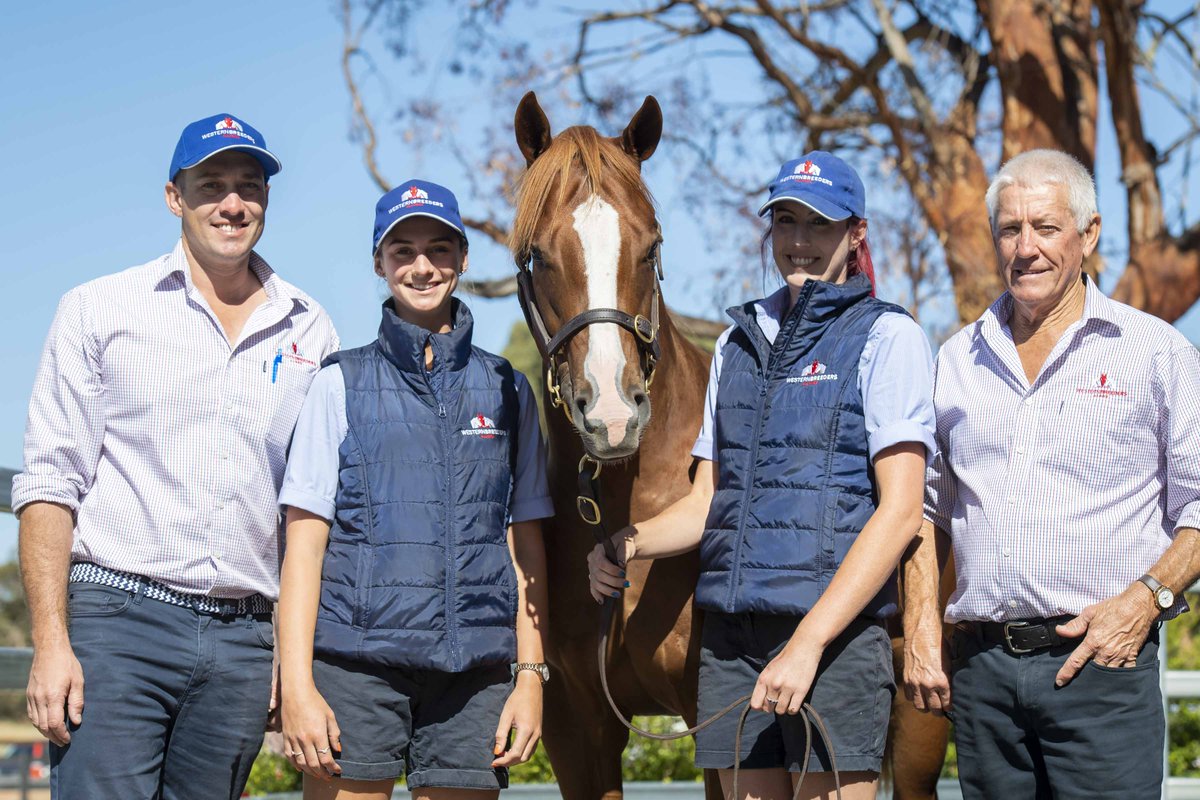 mmsnippets's tweet photo. Lot 168 - the Patronize colt from the Key Business mare Jev Express offered by Western Breeders Alliance for @darlingviewTB sells to trainer Michael Lane for $80,000 at the Perth Yearling Sale.
#WestIsBest #MMWA21 https://t.co/4dn72NtlcZ