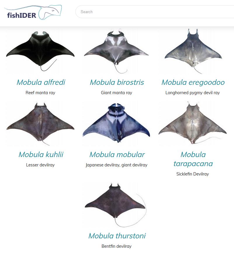 Helen O'Neill tweet media