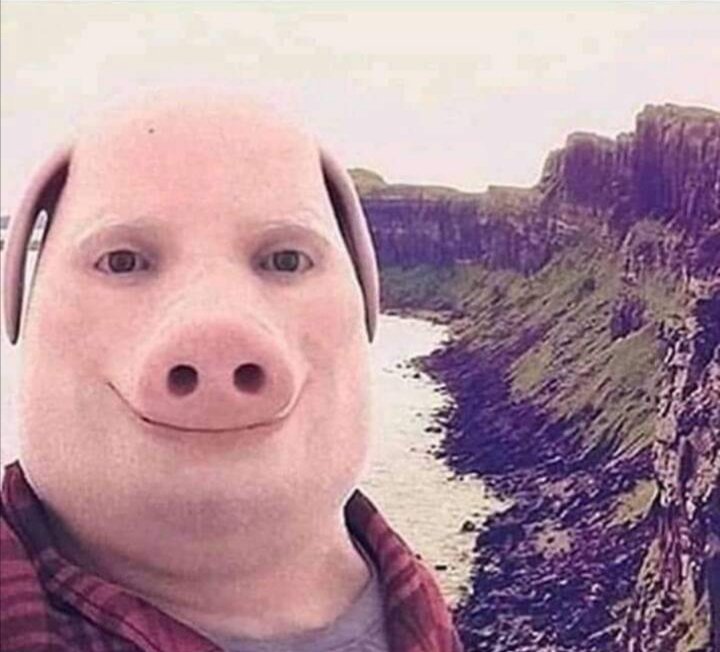 inner78684615's tweet photo. @Technothepig Bruh i found this on dream team fan group it says"Netflix adaption" https://t.co/BvfQzabMWD