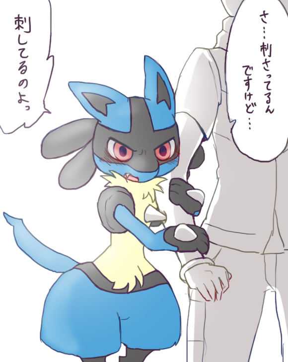 #ルカリオに決めた 