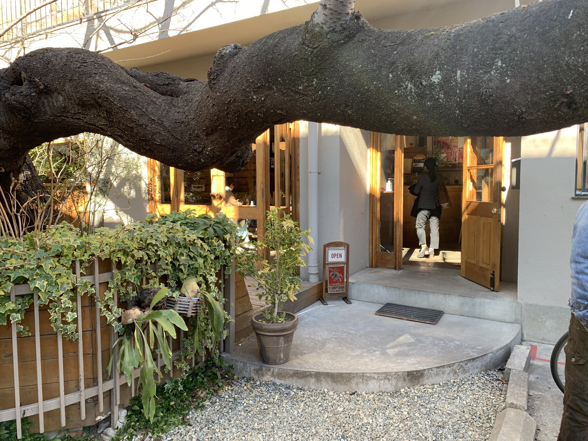 植物とカフェの記録 西原のpaddlers Coffee Stumptown Coffee Roastersのコーヒー豆をポートランドから輸入してるらしい 店員さんもテラス席も素敵 カフェ 幡ヶ谷 サードウェーブコーヒー ロースターズ パドラーズコーヒー 代々木上原