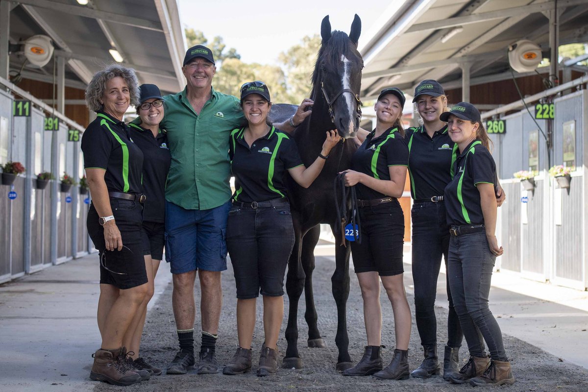 mmsnippets's tweet photo. It's been a record breaking day for Book Two of the 2021 Perth Yearling Sale. A record gross, record average, record top price and a stunning clearance rate of over 95%. More news soon! 
#WestIsBest #MMWA21 https://t.co/OFLm7KwPkb