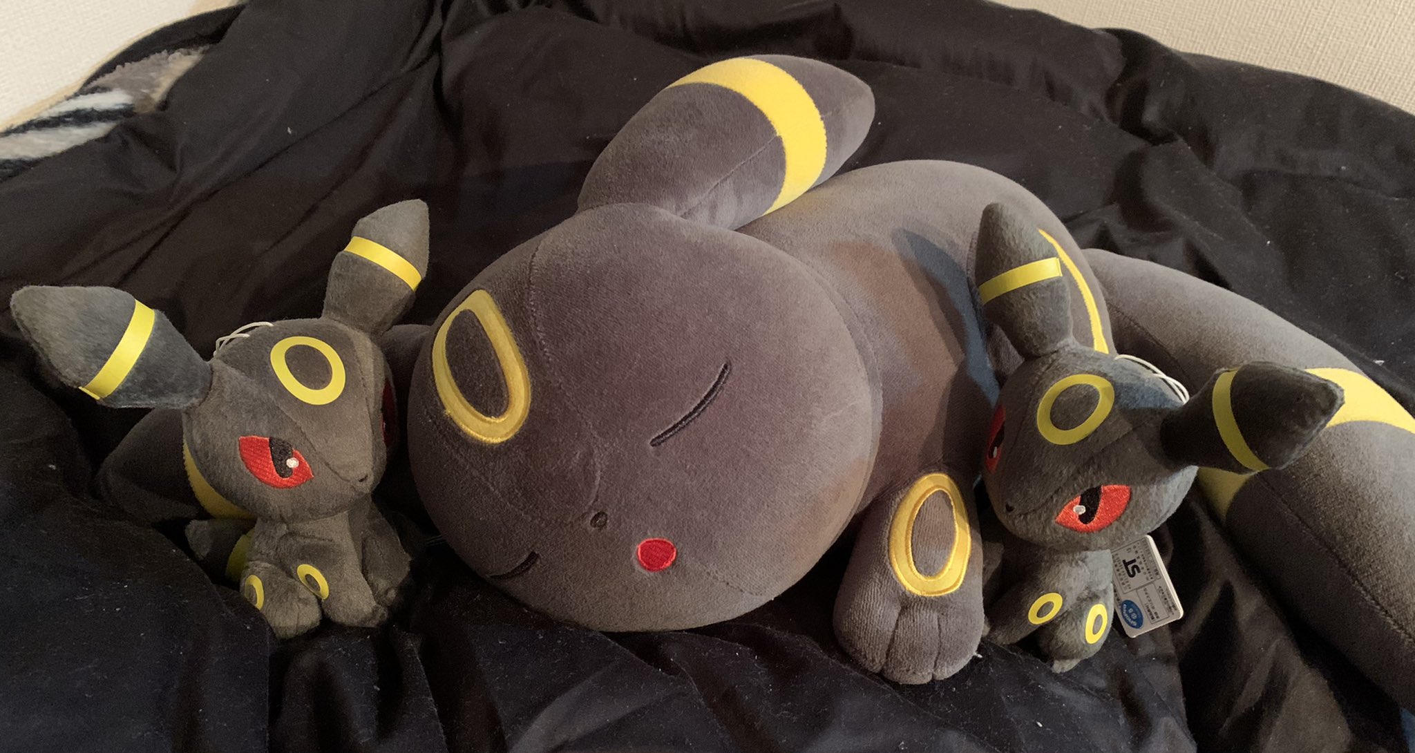 檻神 Na Twitteru 金銀からずっと 私の中の好きなポケモンランキング1位です 不動です ブラッキーにきめた T Co Jsqv8uiphc Twitter