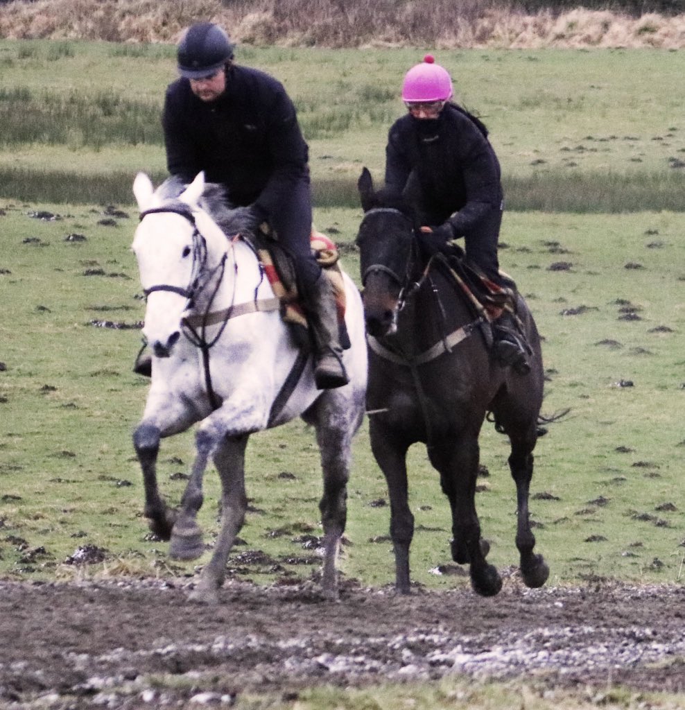 J Parkinson & S Smith Racing 🏇 tweet media