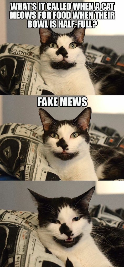 fake mews