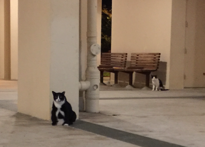 neighbourhood watch group