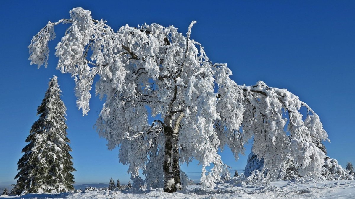 #goodafternoon #WINTER