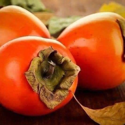 Noor_HKJ9023's tweet photo. رابطة الناس اللي بتحب  ال كاكا  🙋‍♀️😋🧡 وينكم اثبتوا وجودكم؟؟؟؟ https://t.co/IXdXIaG1Hh