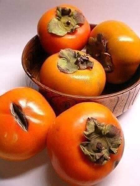 Noor_HKJ9023's tweet photo. رابطة الناس اللي بتحب  ال كاكا  🙋‍♀️😋🧡 وينكم اثبتوا وجودكم؟؟؟؟ https://t.co/IXdXIaG1Hh
