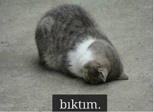 kdramafan0's tweet photo. Biz liseliler üvey miyiz ya? Niye kimse bizi takmıyor???#duybiziziyaselcuk https://t.co/wdE0hxgiJC