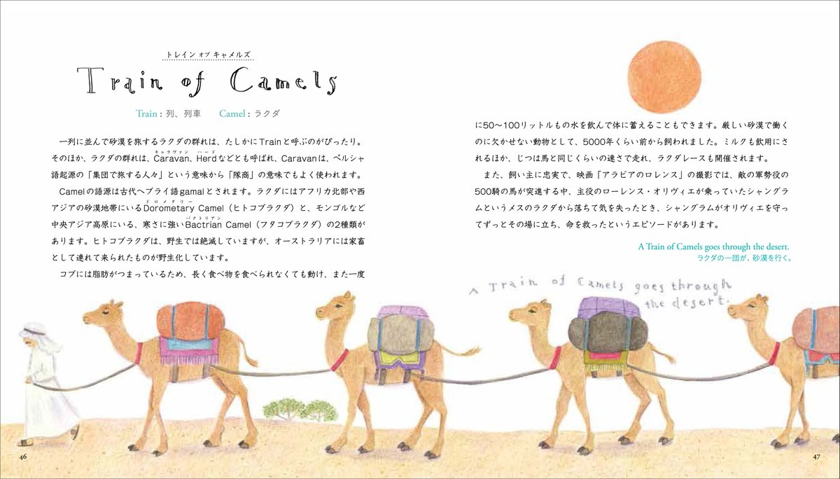 図書出版 創元社 英語のネイティブスピーカーにとっても 興味深い謎である集合名詞の世界 ライオンの集まりはpride ラクダはtrain 花はbouquet それでは 星 は Pack Gang Murder Cluster 答えはツリーをご確認ください ライオン 図書出版 創元社 英語のネイティブスピーカーにとっても 興味深い謎である集合名詞の世界 ライオンの集まりはpride ラクダはtrain 花はbouquet それでは 星 は Pack Gang Murder Cluster 答えはツリーをご確認ください ライオン