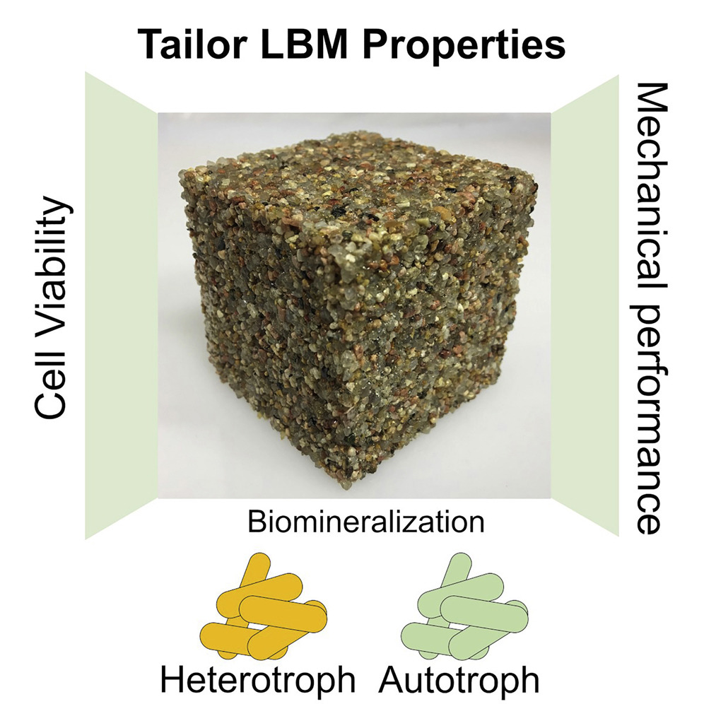 The Cameron Lab tweet media