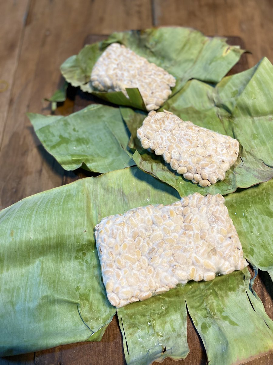 Jun Momiji Plant Based テンペができました カンボジアで手に入る餅麹を使用して作っています 本来は糯米を発酵させるのに使用する菌ですが テンペと同じ蜘蛛の巣カビならできるのでは と試してみたら見事に成功 それ以来気が向いたら作っています