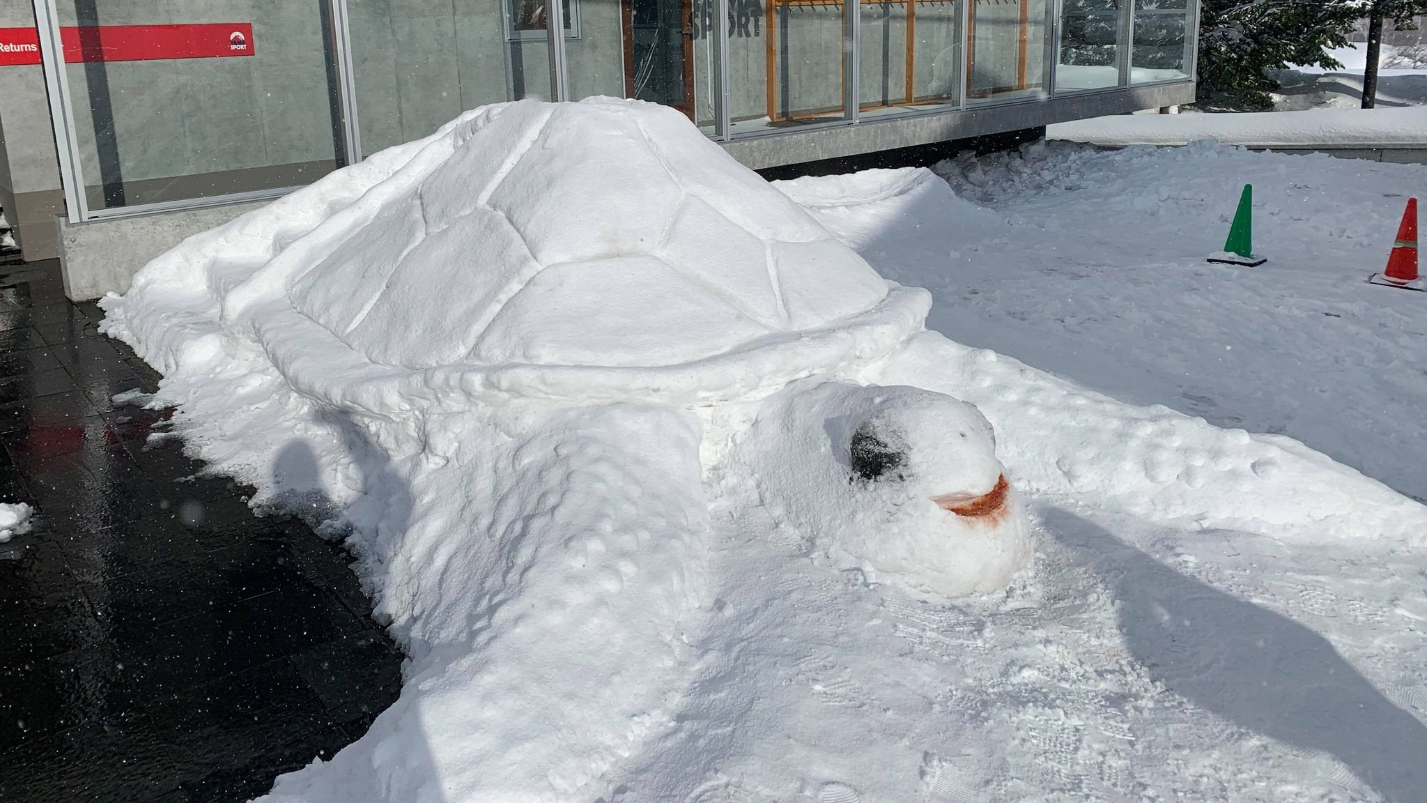 Uzivatel Vacation Niseko Na Twitteru フロントデスクスタッフチームが傑作を完成させました ニセコランドマークビューにあるバケーションニセコのようてい亀 是非見てみてくださいね Niseko ニセコ Snowsculpture 雪像 Hokkaido 北海道