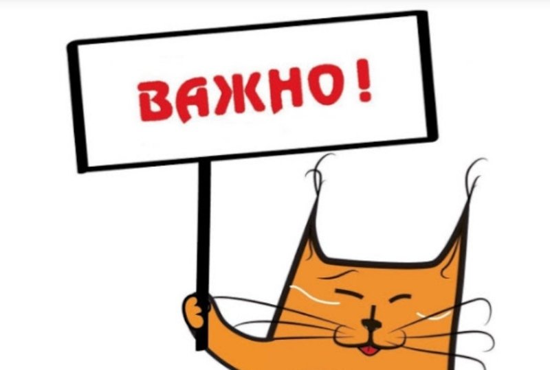 Уважаемые получатели социальных услуг, по техническим причинам телефоны ГКУ СО «Безенчукский «Дом детства» временно не работают. В экстренных случаях просим воспользоваться номером 8 927 705 83 96. Приносим извинения и благодарим за понимание.