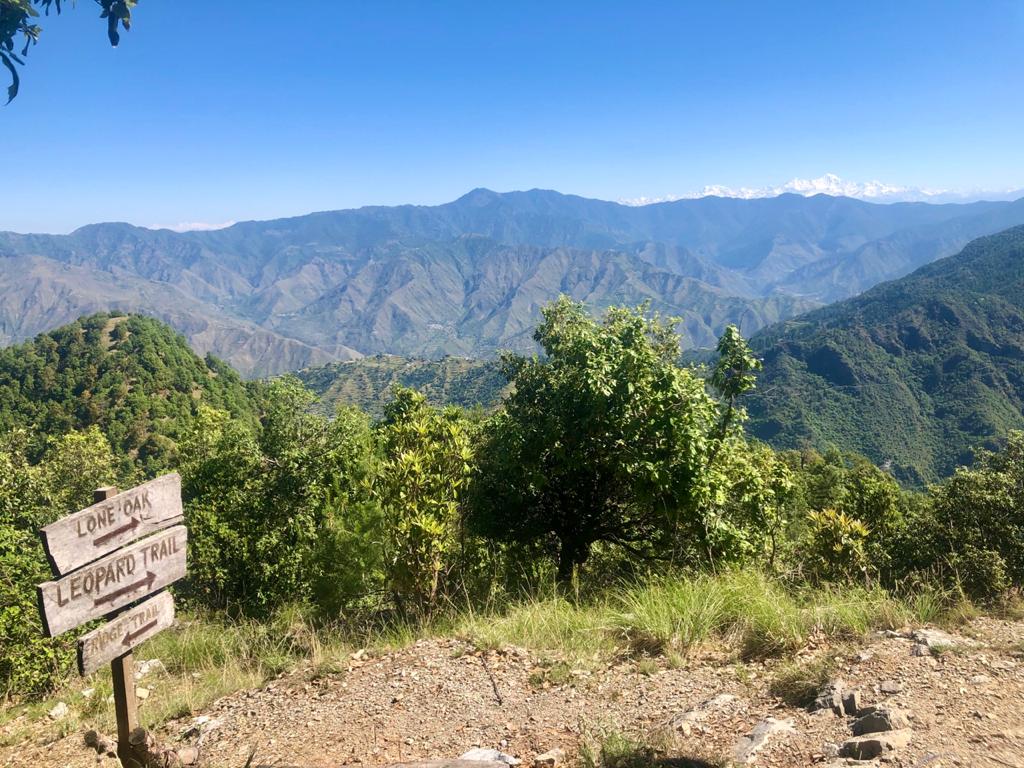 JabarkhetNature's tweet photo. Trails of JNR - come and explore! https://t.co/TTdS0uMocJ
