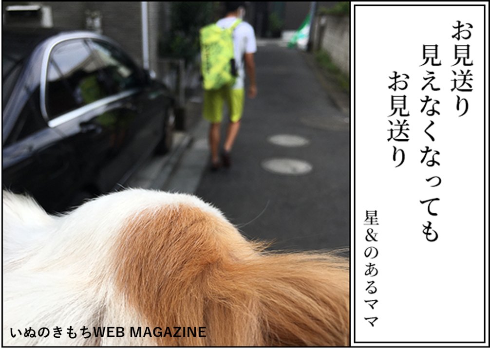 【犬あるある川柳入賞作品】
★最優秀賞
「所有権 床に落ちたら 犬のモノ」
犬飼い主さん、犬好きさんなら思わず納得!?
笑った後にじんわり心温まる、犬あるある川柳がおもしろい!
▼投稿者さんの裏話や川柳の解説はこちらから!
https://t.co/UNzsp0hk9r